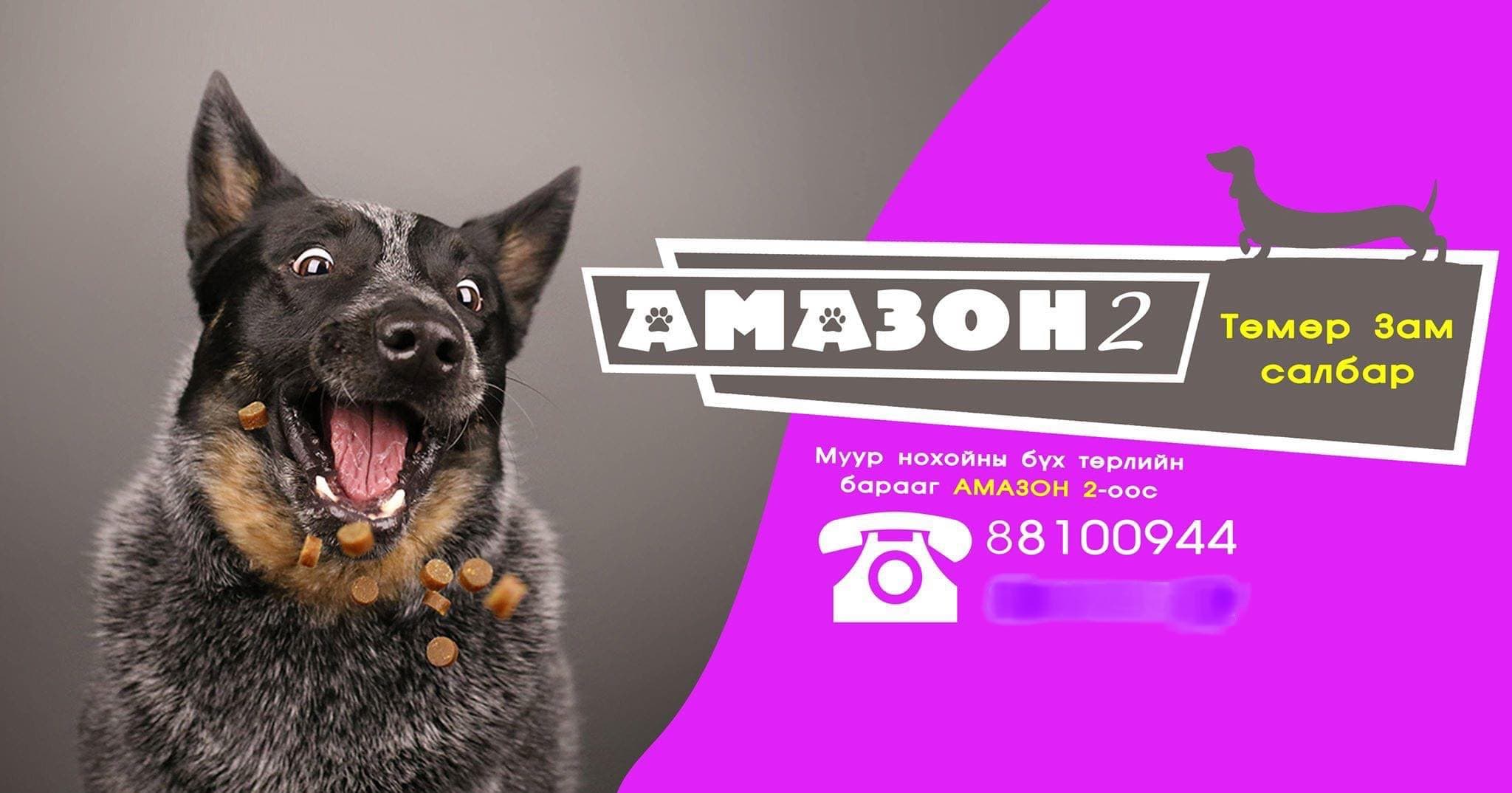 Амазон 2