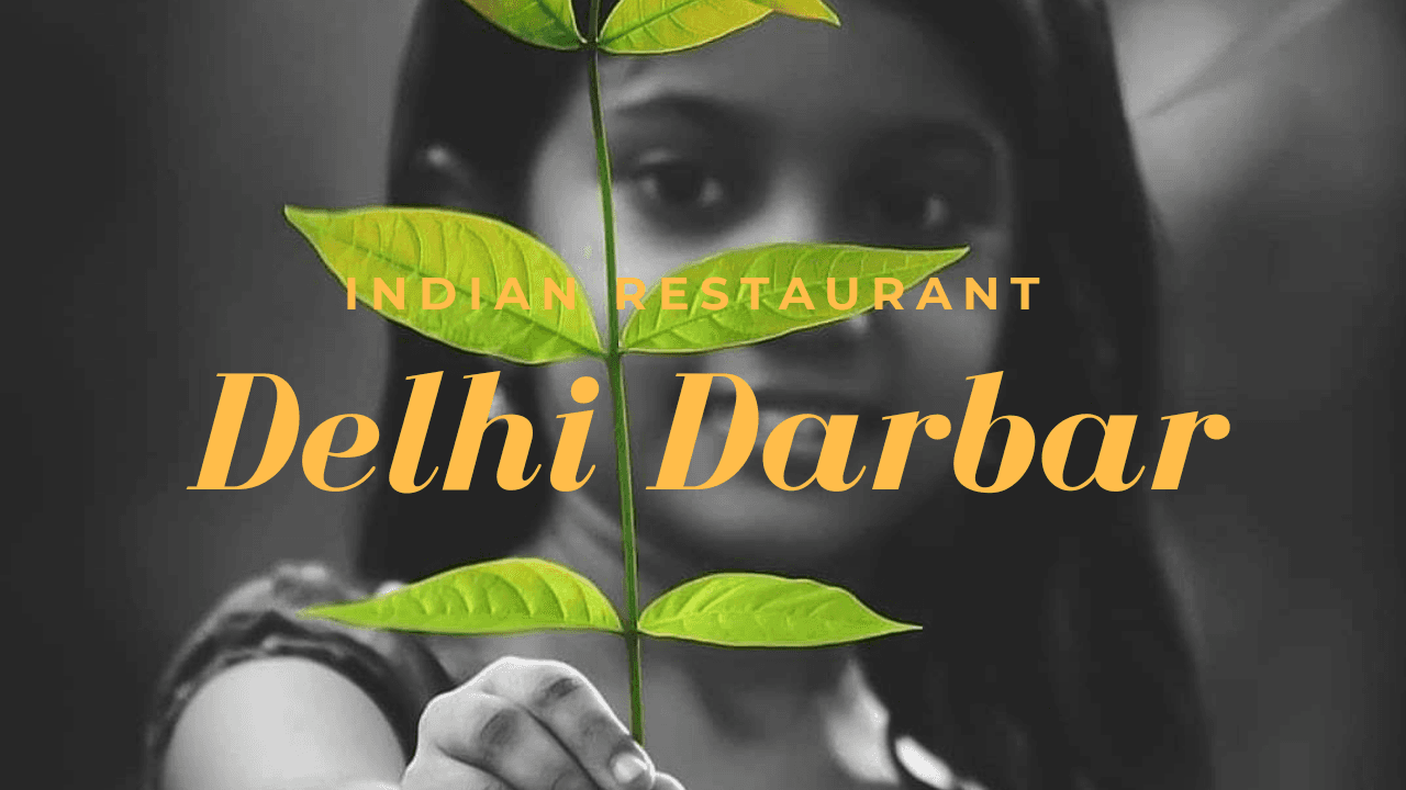 Delhi Darbar India Restaurant