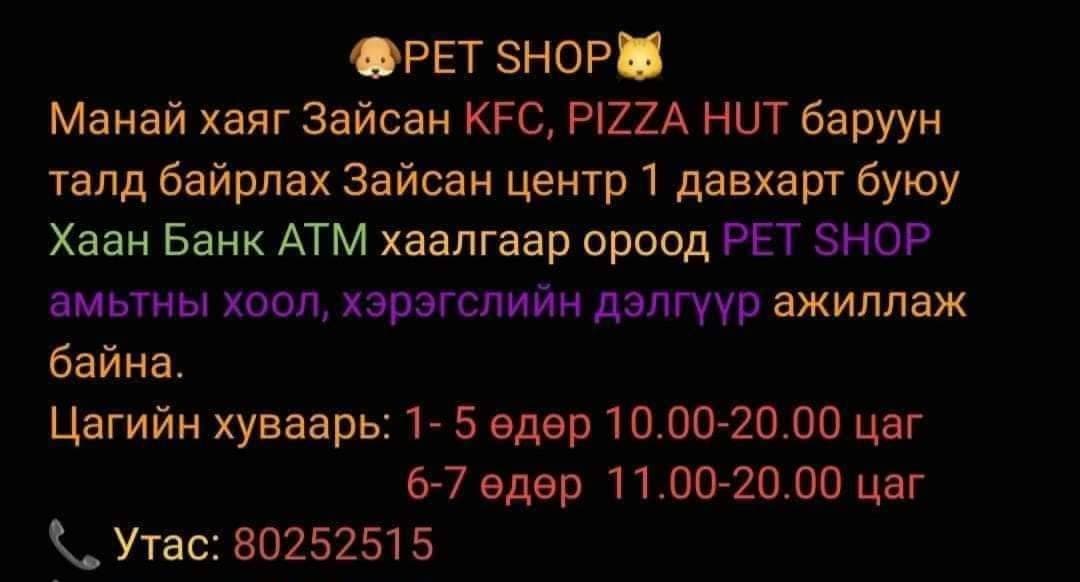Зайсан