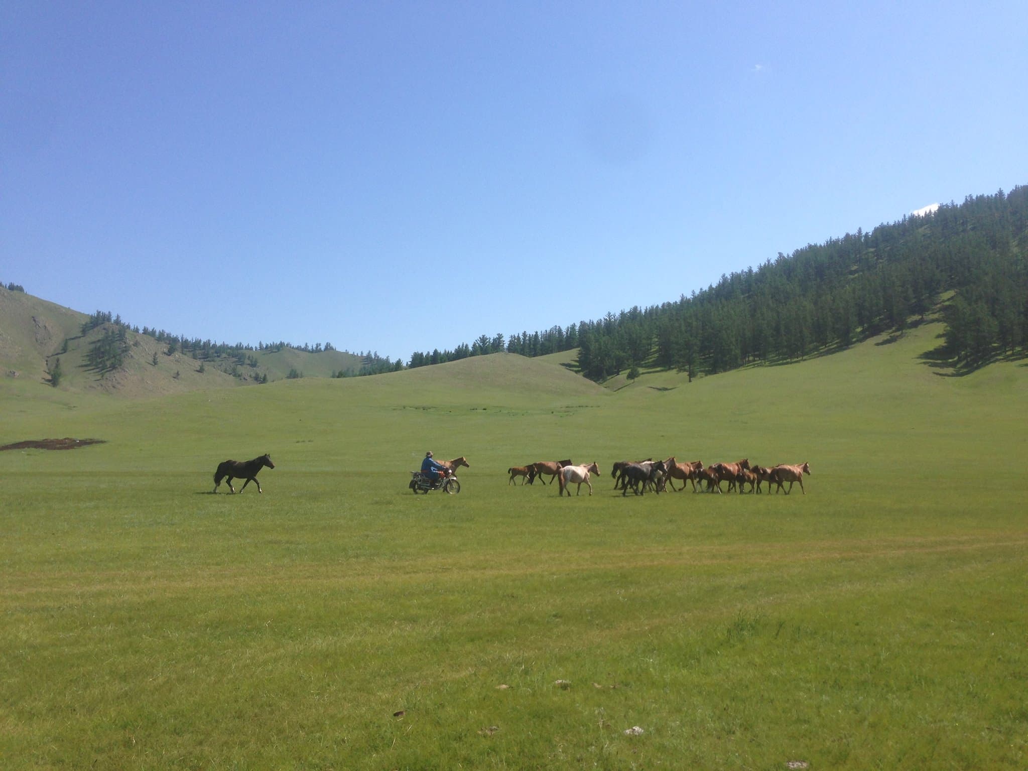Ider-Od Bat-Erdene