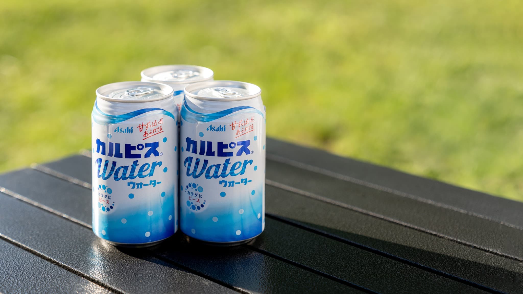 Calpis Mongolia