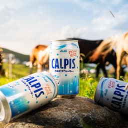 Calpis Mongolia