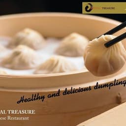 Oriental Treasure Restaurant